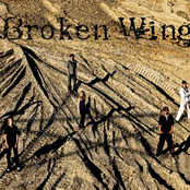 broken wings