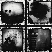 Melody in Melancholy