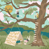 So Many Ways To Not Say Anything