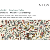 Terzattacke – Music for Flute and Strings