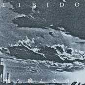 低く飛んでゆく