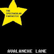 Avalanche Lane