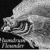 humdrum flounder