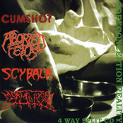 Goreconception Reality