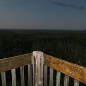 Short Cool Summer Migratory Species