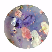 We Don't (feat. Ripely) - Single