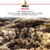 The French Lute