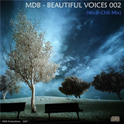 BEAUTIFUL VOICES 002 (a.k.a.VOCAL-CHILL MIX 2)