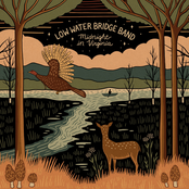Low Water Bridge Band: Midnight in Virginia
