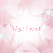 What I Want