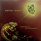 Adrian West: Chameleons and Butterflies