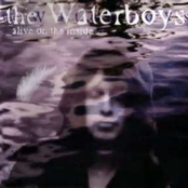 I Am Working On My Karma by The Waterboys