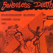 Senseless Death