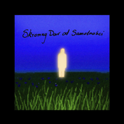 Skromny dar od samotności