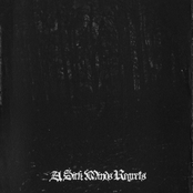 A Sick Minds Regrets