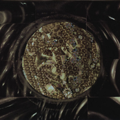 Light Sounds Dark Presents After the Void