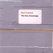 The Grey Knowledge by Beef Terminal