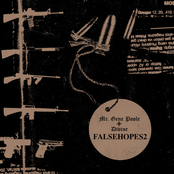 Falsehopes2