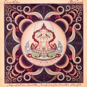 Album cover for Terry Riley: Shri Camel, by Terry Riley