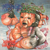 Chaopula. Citadel Of Mirrors