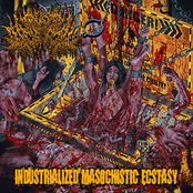 Industrialized Masochistic Ecstasy