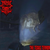 The Texas Terror