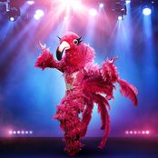 The Masked Singer: Flamingo