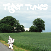 Tiger Tunes: Absolutely Worthless Compared to Important Books