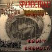 Split AP/CC/Dwarf/NecroB/Spam