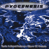 Symbol Of Disgrace by Pyogenesis