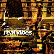 DJ Hype & True Playaz Presents Real Vibes