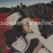 SLOWDVNC
