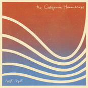 The California Honeydrops: Soft Spot