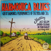 Harmonica Blues: Great Harmonica Performances Of The 1920s And '30s