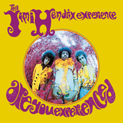 Experience Hendrix: Are You Experienced?