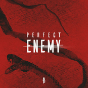 Perfect Enemy