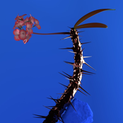 Hyperreal - Single