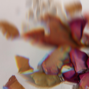 In The Form Of Light