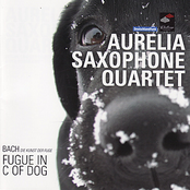 Fugue In C Of Dog