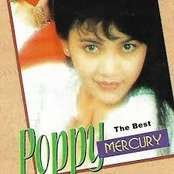 20 The Best Poppy Mercury