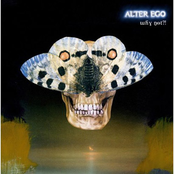 Jolly Joker by Alter Ego