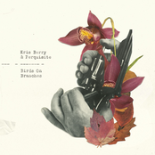 Birds on Branches - Single