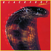 Road Fever by Blackfoot