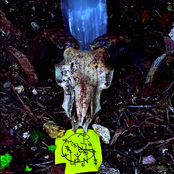 GRNTRLCSTRMCRYSTLSPNRRLLTR V.XI.MMXIX