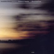 The Invisible Storm by Edward Vesala