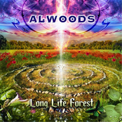 Open Mind by Alwoods