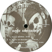 born sirvibers