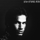 מכות במועדון