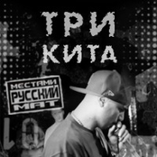 Три Кита (Зануда, gipsy king, Тато)