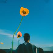 demotapes: wishing well